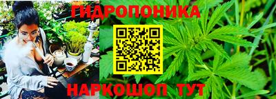 амф Рыбинск