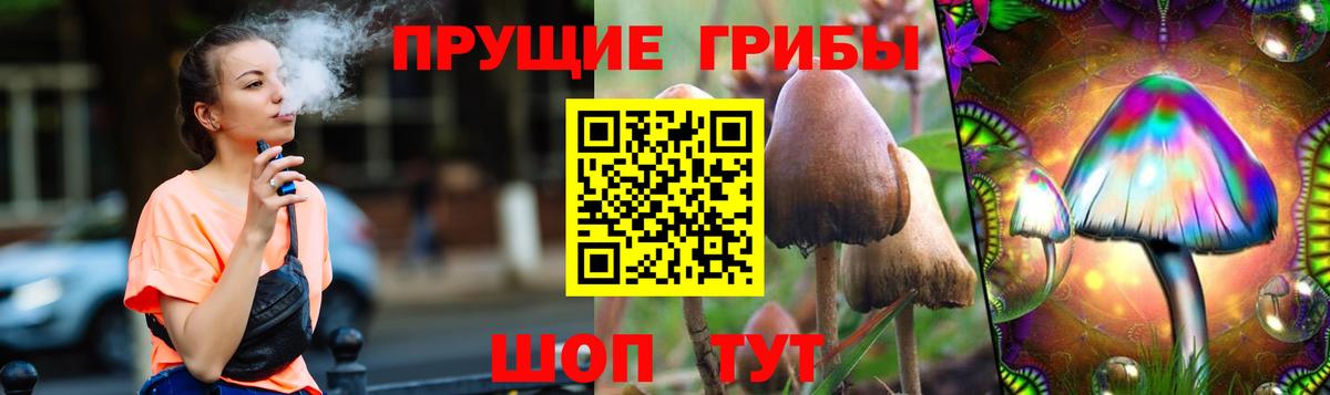 Галлюциногенные грибы Psilocybine cubensis Саянск