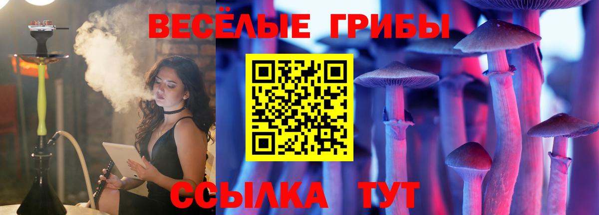 наркошоп  Галлюциногенные грибы ЛСД  Саянск  Вход с VPN  Псилоцибиновые грибы Psilocybine cubensis 